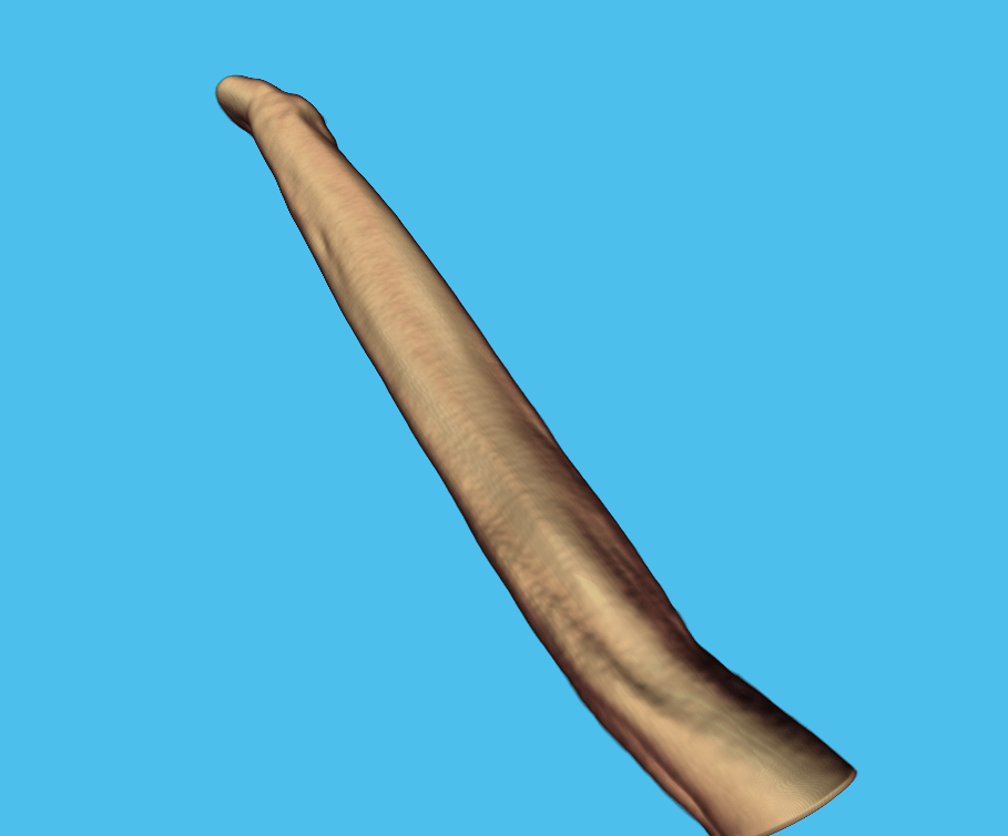 Surface render of pulp fibre from OPT reconstruction.